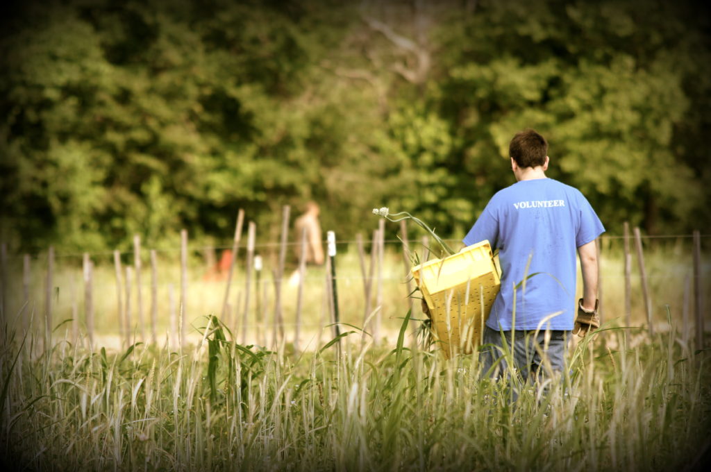 Tapping into the right talent of agriculture