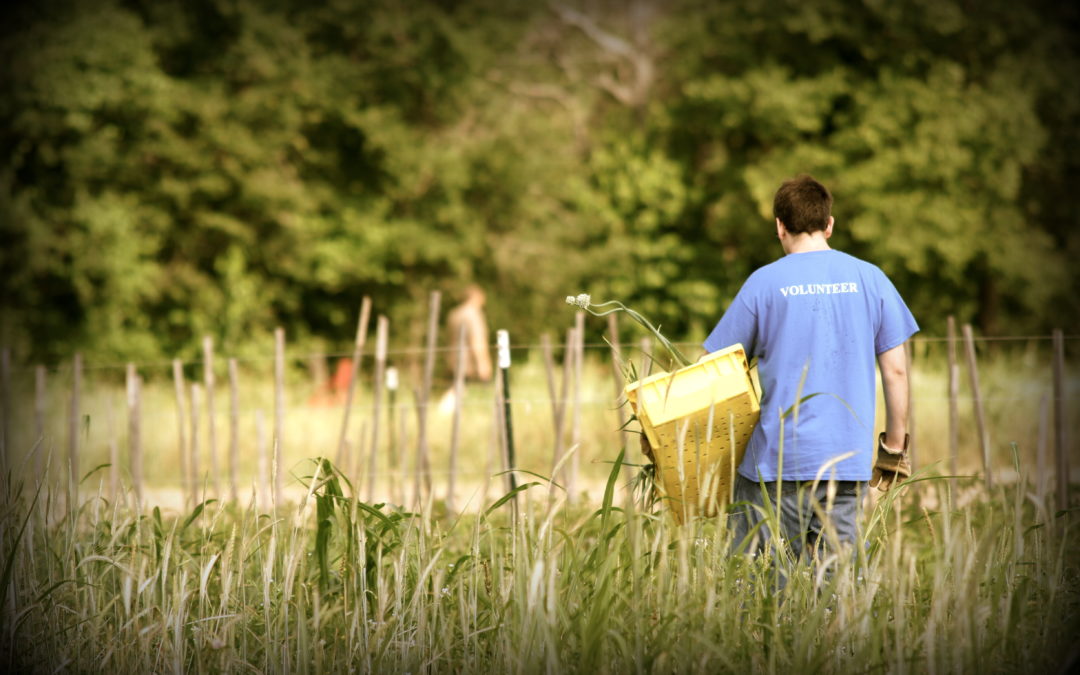 Young People Should not Think Farming Is For An Old Folk