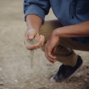 Soil in hand