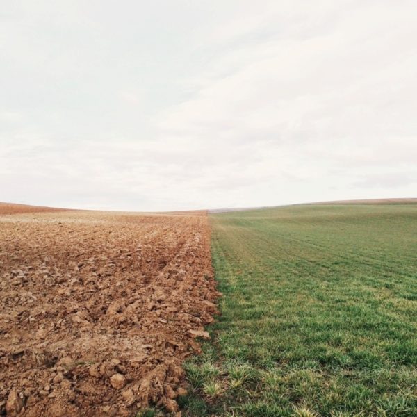 agricultural business